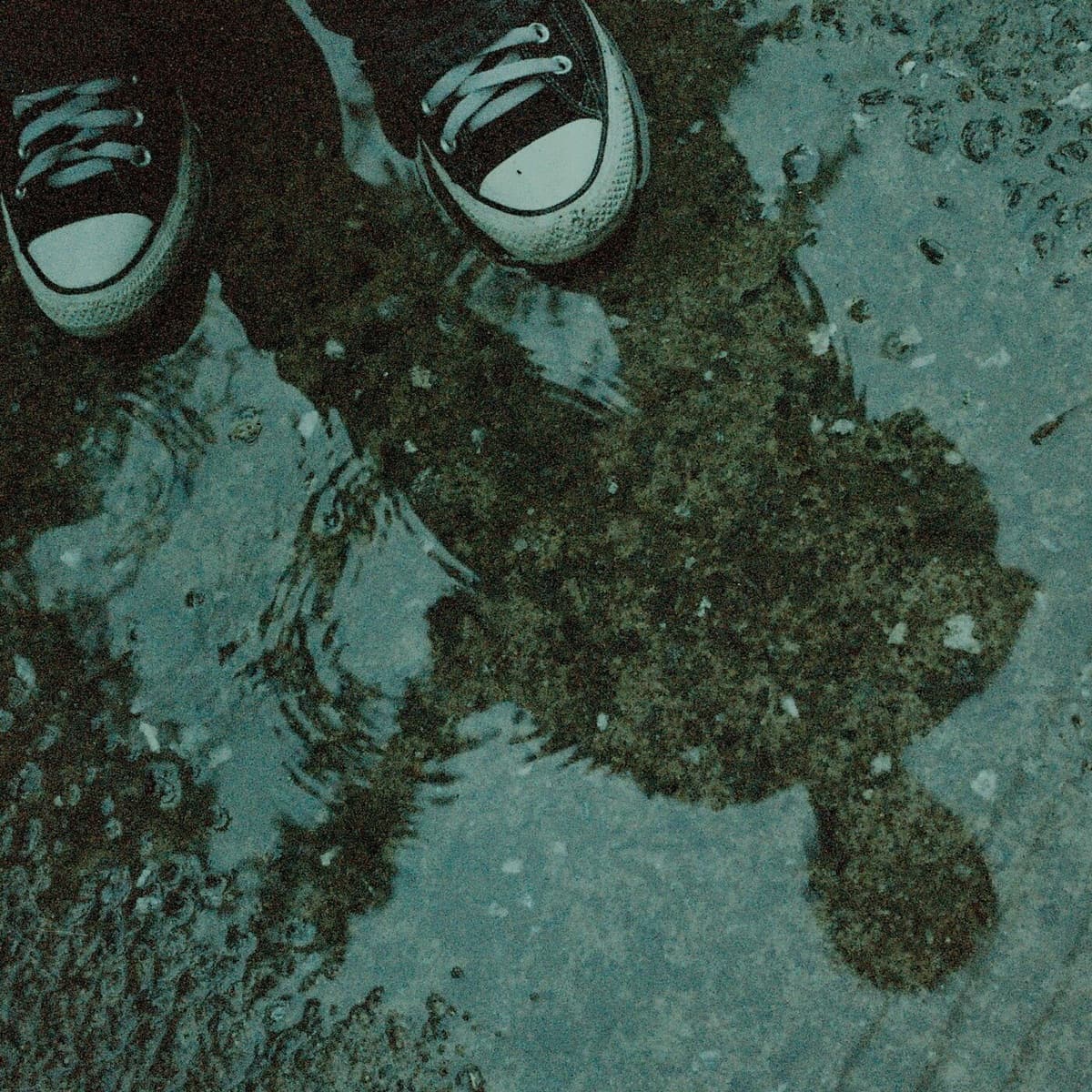 Cover art for Ha Hyun Sang - Monsoon