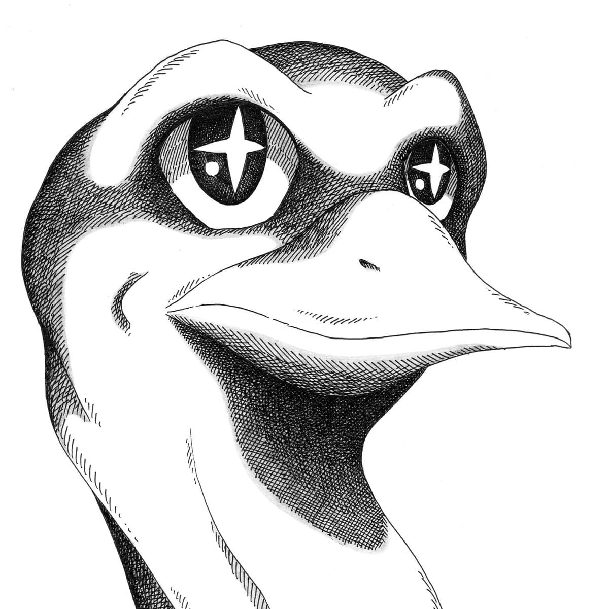 Cover art for Coyote Lily