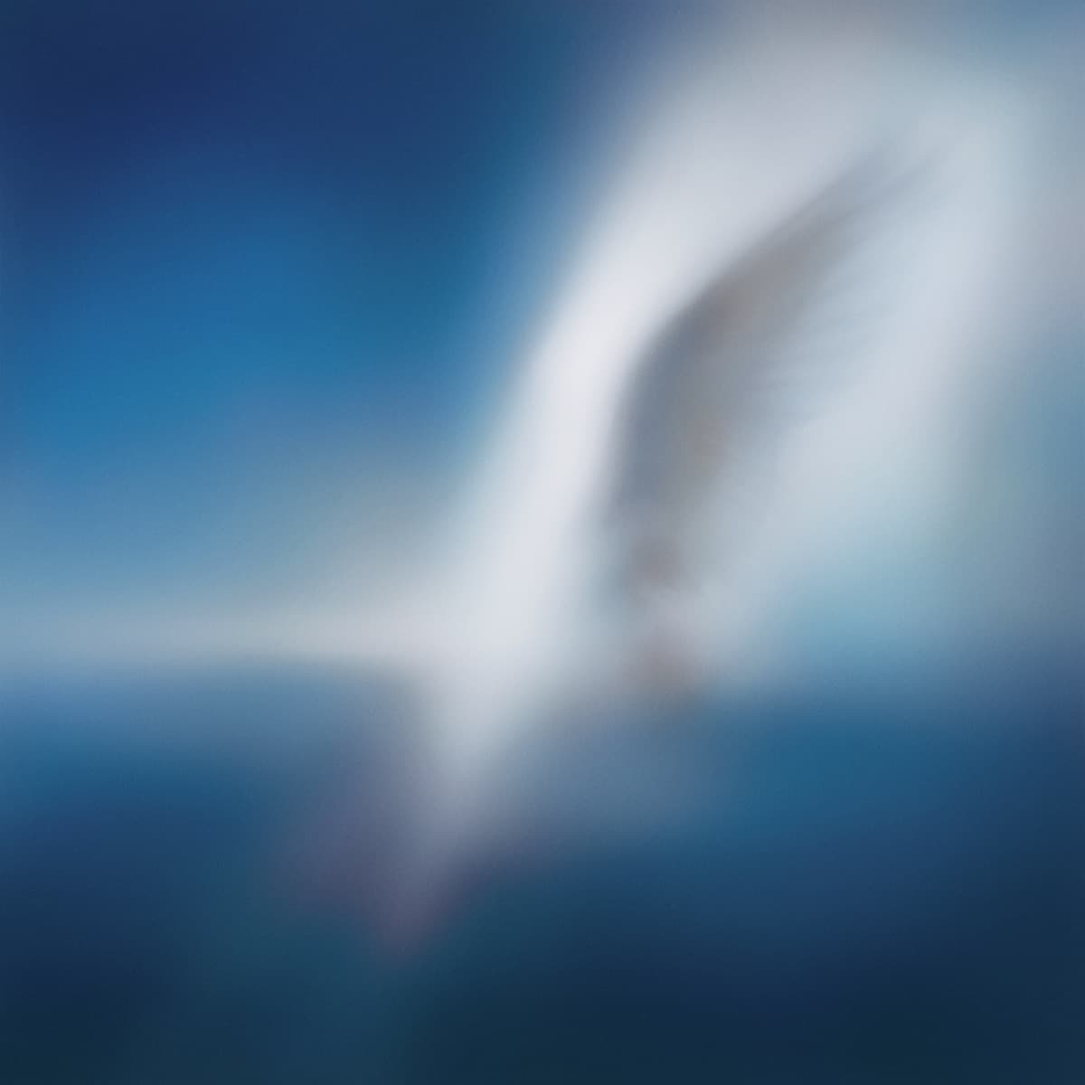 Cover art for Car, the Garden - Blue Heart