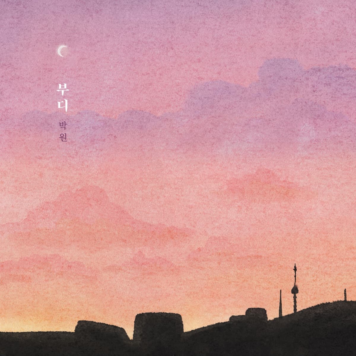 Cover art for PARK WON - BUDI